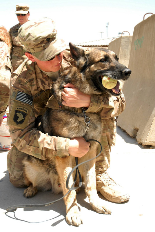 11741309_843155032448135_1421621242573113925_o