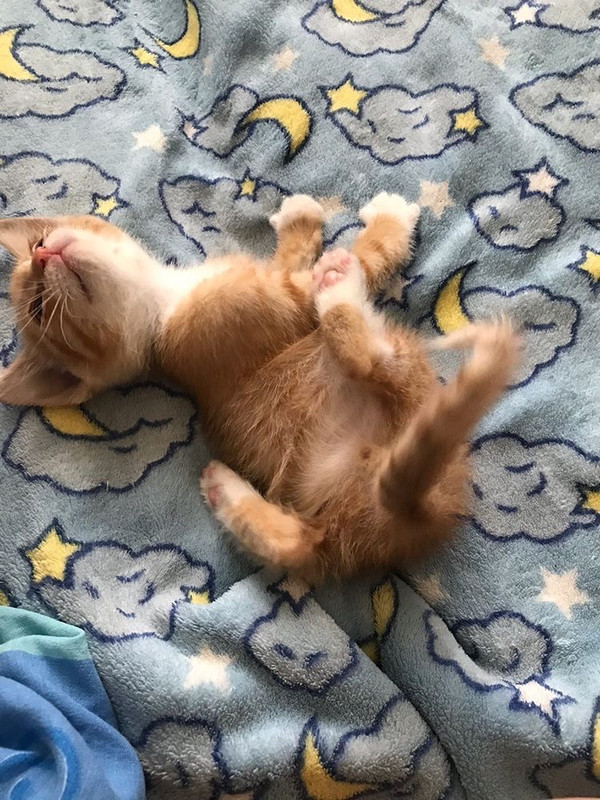 D4A91851-B16A-4F3B-B543-84A6A128DDD2