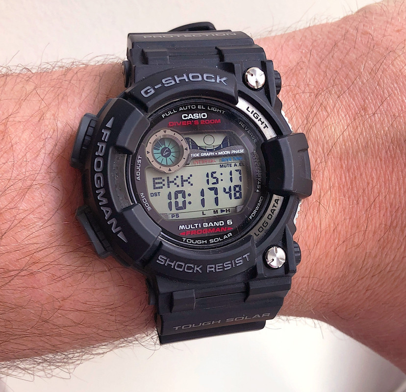 casio f81