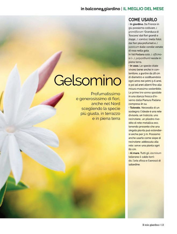 Il Mio Giar Ago-Set 2022 (4)