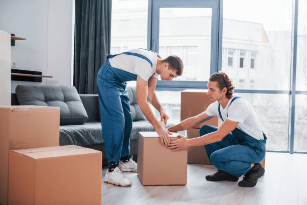 Experienced Movers in Kent