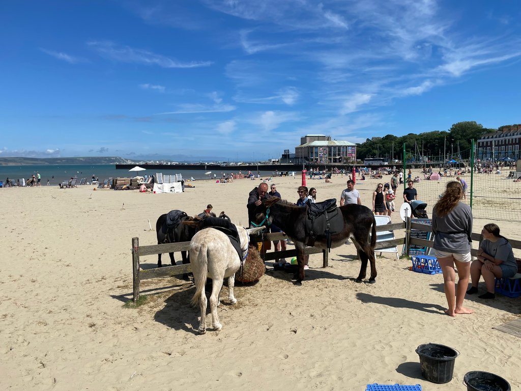 donkeys-beach-weymouth-HD.jpg