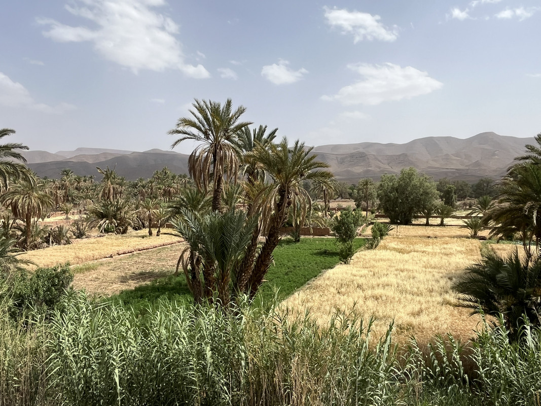 Agdz, Asslim y Tamnougalt : en la tierra de los Mezguita - El Valle del Drâa, la gran arteria del sur de Marruecos (53)