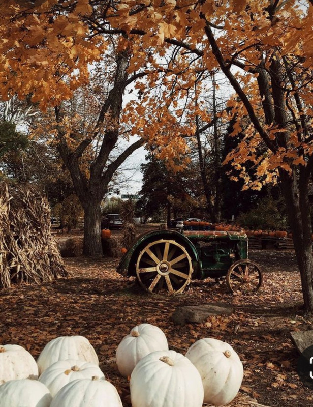 Screenshot_20231112_162356_Pinterest