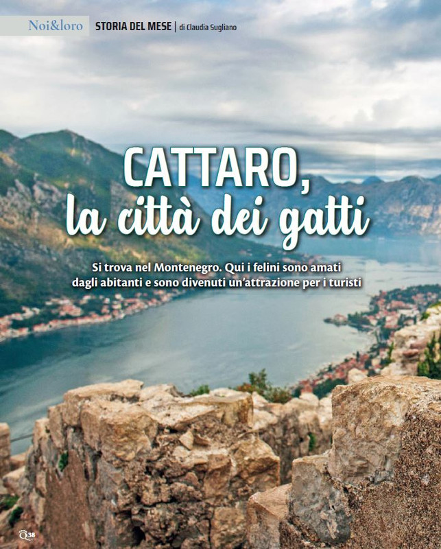 QuattroZampe Set 2023 (3)