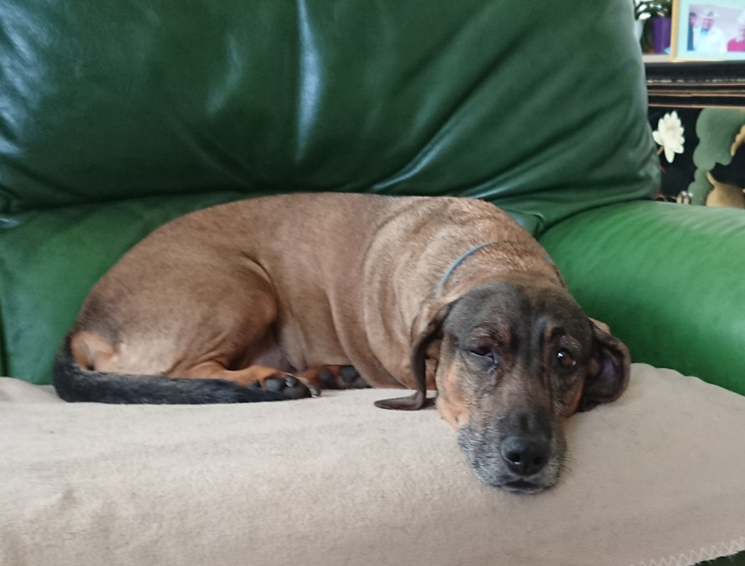 [Image: 20220831-170902.jpg]