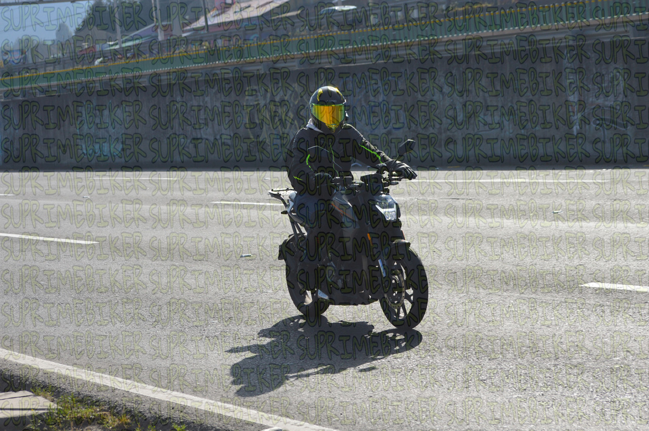 DSC 0141