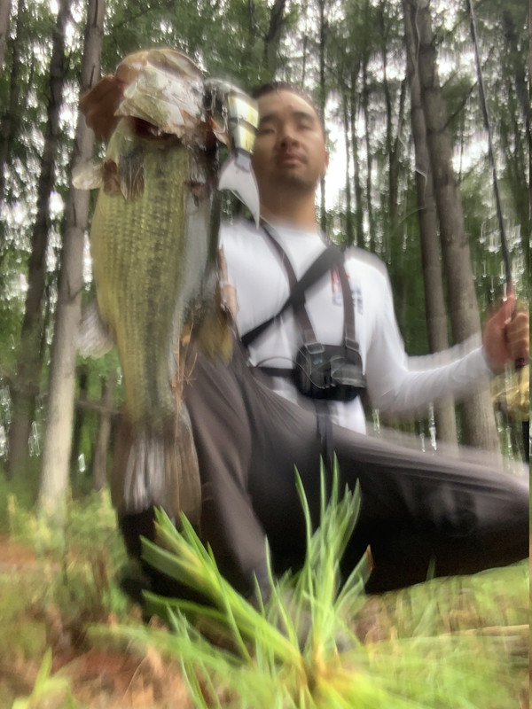 IMG-0671.jpg