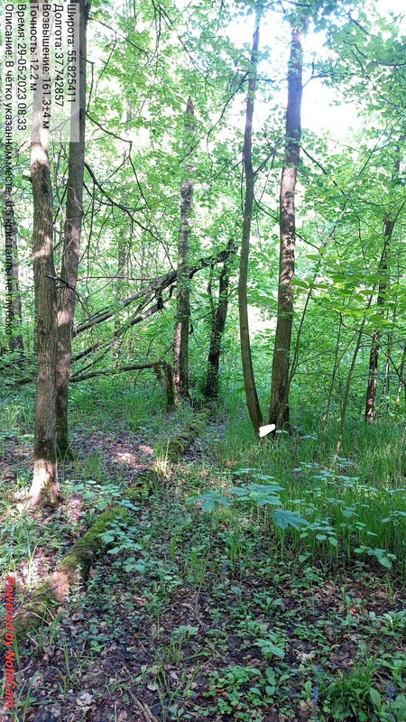 Img 20230529 124335 708 Postimages