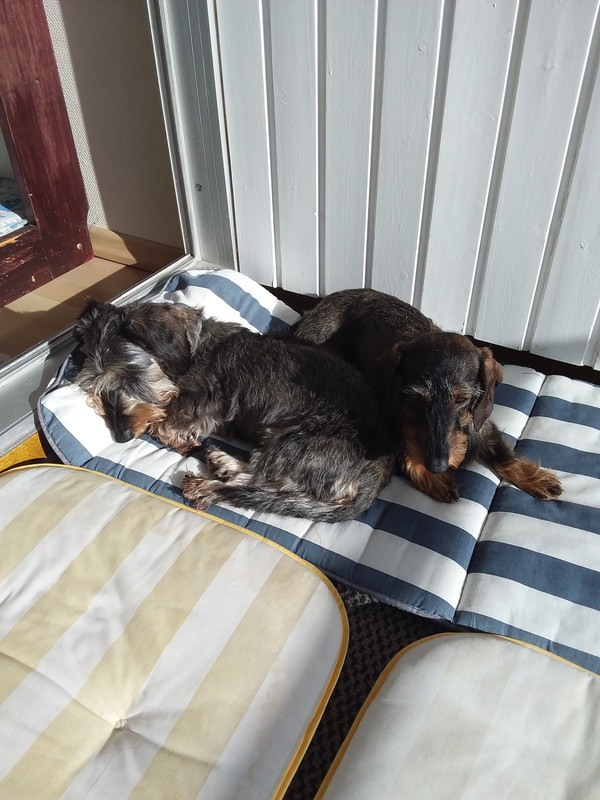 [Image: 20221108-120940.jpg]