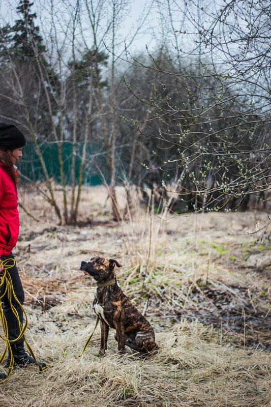 без имени-0616