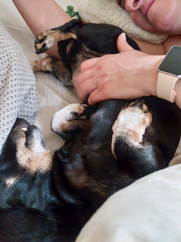 [Image: IMG-20250511-090748.jpg]