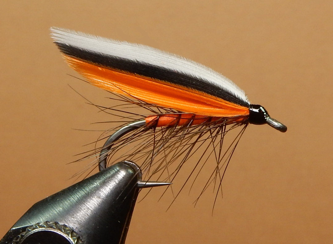 Brook-Fin-2-1080.jpg