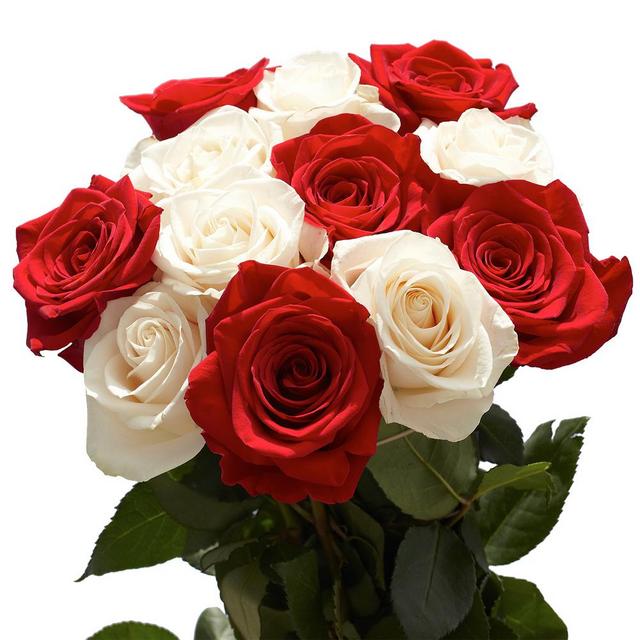 [Image: globalrose-flower-bouquets-50-roses-25-r...4-1000.jpg]