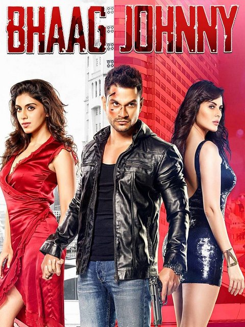 Bhaag Johnny (2015) Hindi 480p HDRip x264 AAC 300MB ESub