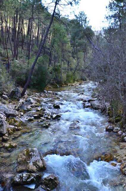 RUTA RIO BOROSA-12-3-2016-JAEN - Paseando por España-1991/2016 (65)