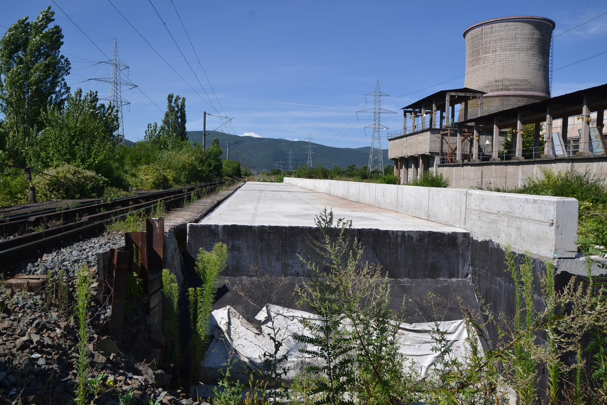 DSC_1433