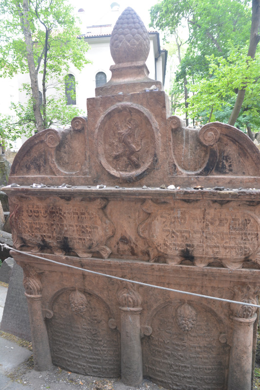 07.12 - DSC_9572 (Ater)