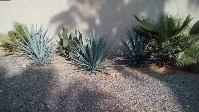 IMG_20170414_1800081_rewind