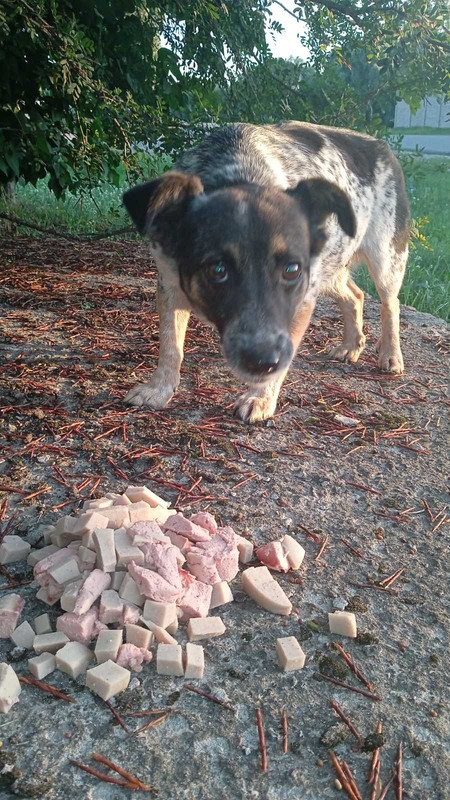 B44B2382-06CC-4795-A560-025791996CB9