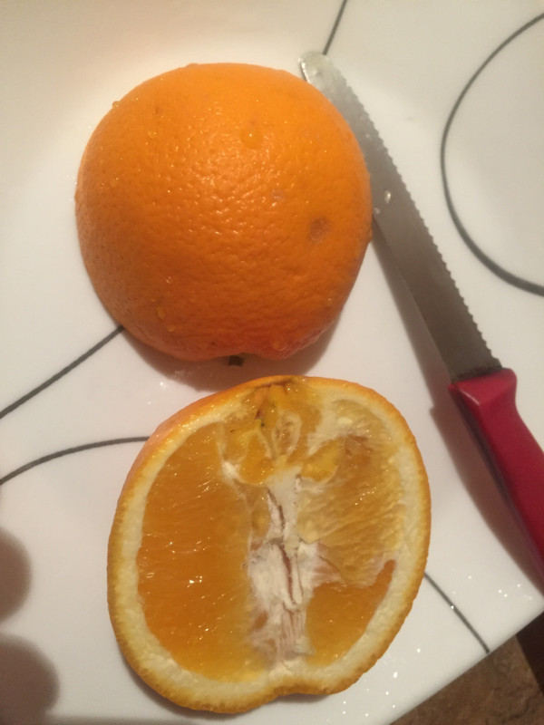 09E23FC6-29F2-4030-8475-78D7487CE4BF