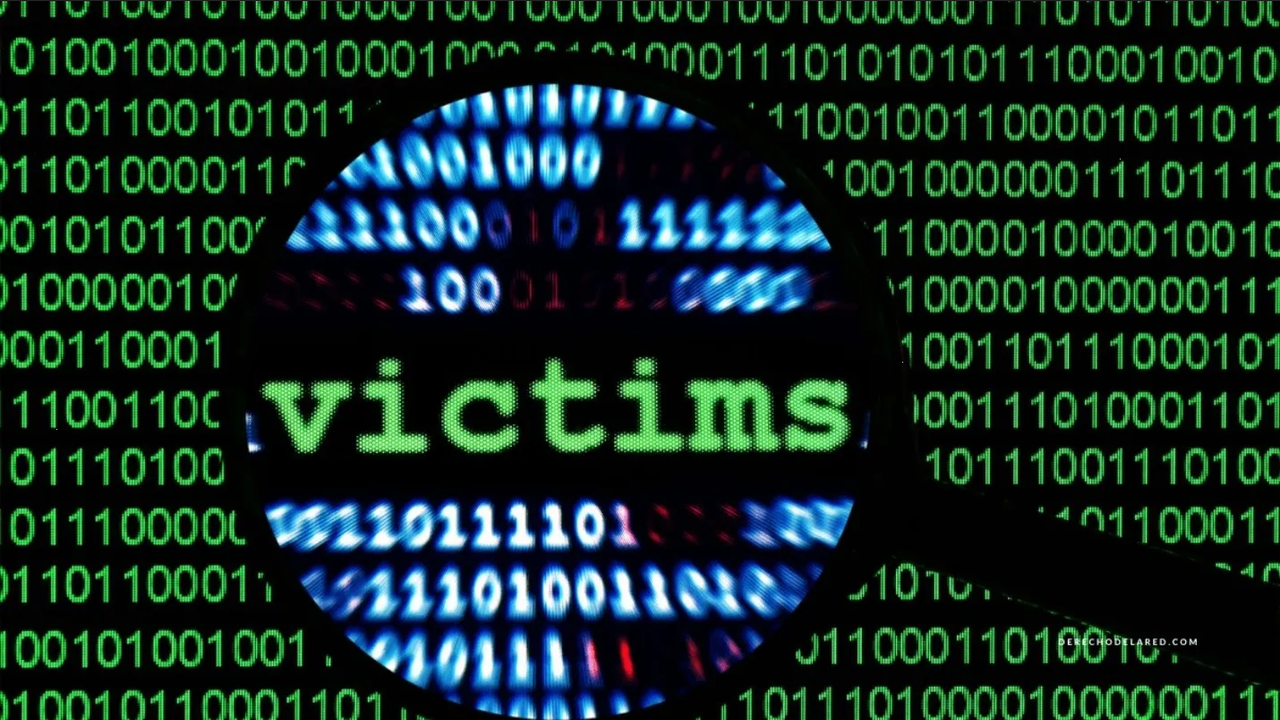 ¿Cómo evitar ser víctima de la ciberdelincuencia para que no roben tus datos?