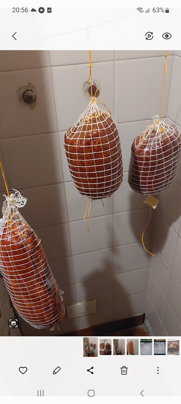 Screenshot_20230813-205631_Gallery