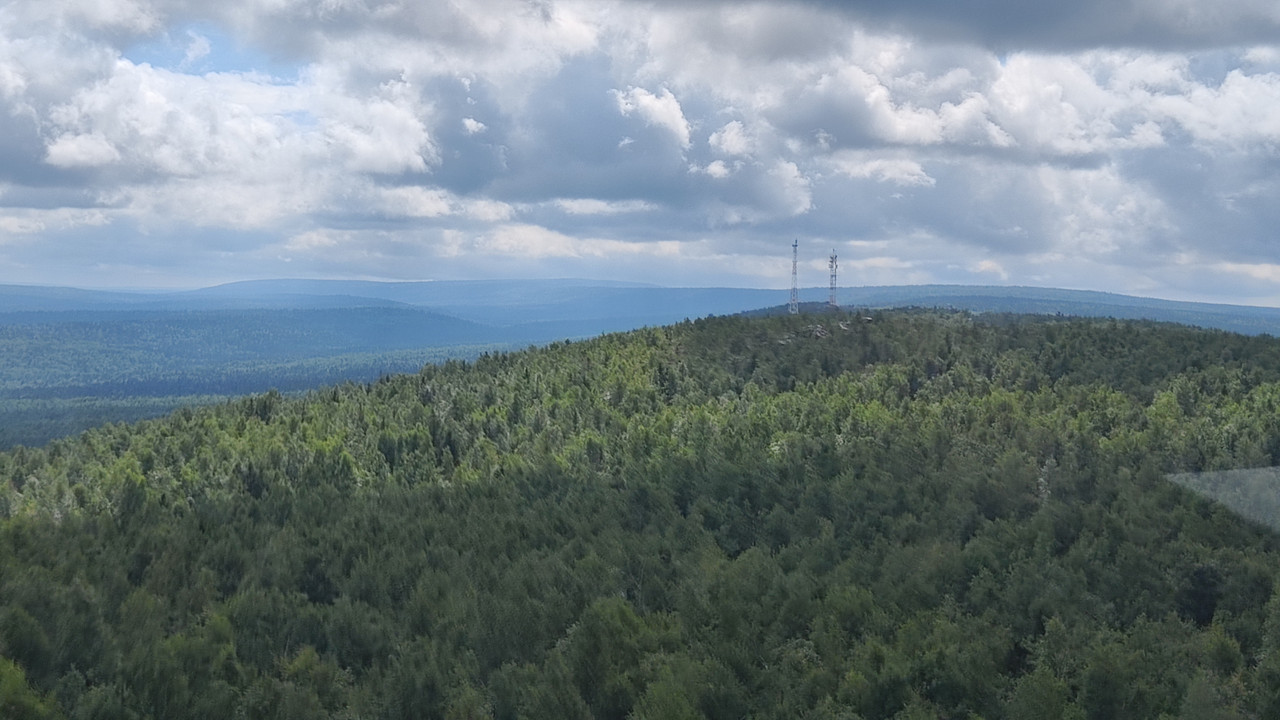 IMG-20240803-124548.jpg