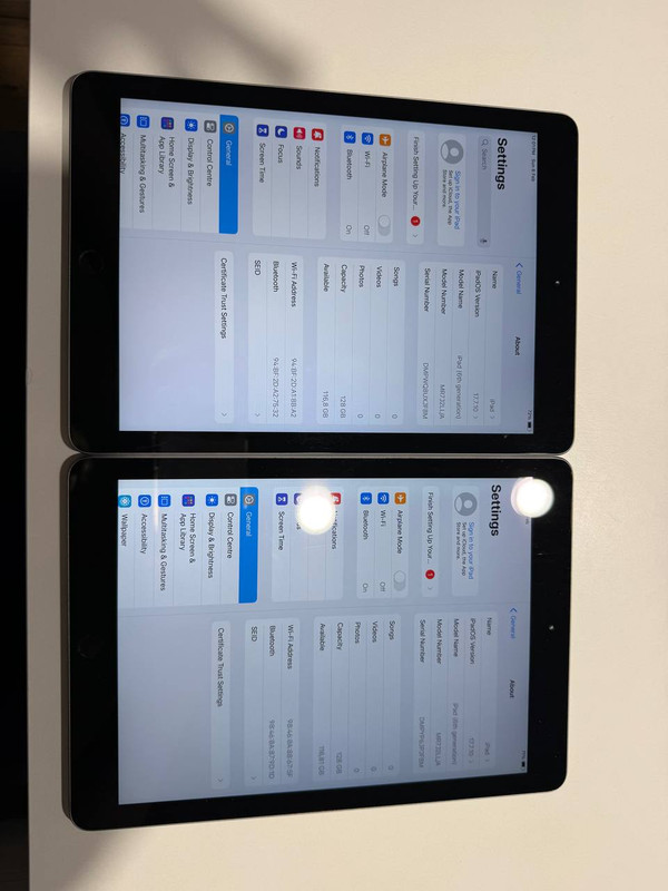 photo 2026 02 17 12 59 19