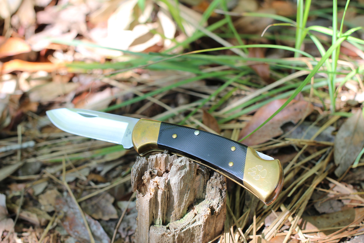 ECB83B69-9C26-4F26-A9B9-D01359597B7E