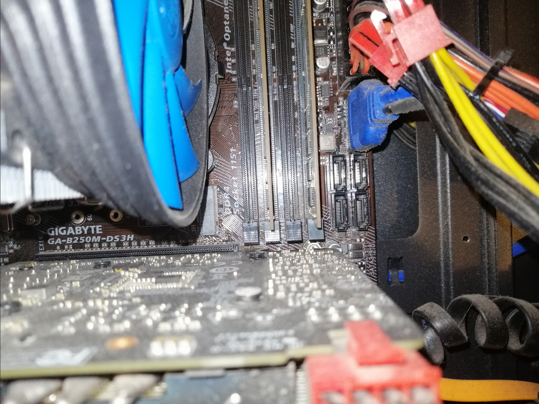 Screenshot 2023-02-04 at 19-21-49 IMG_20230204_174224.jpg (JPEG Image 5120 × 3840 pixels) — Scaled (