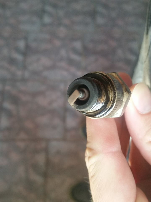 40158615_509370569528731_4980853026047655936_n