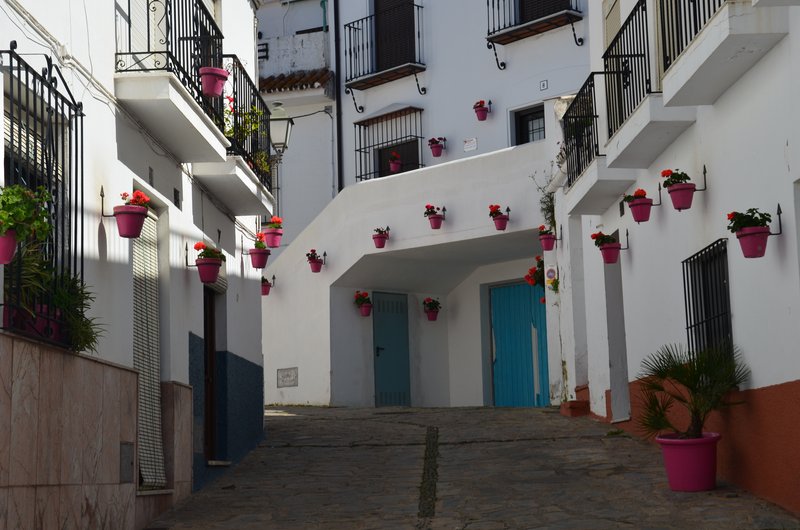 ESTEPONA-9-3-2017 - Málaga y sus pueblos-2009/2017 (88)