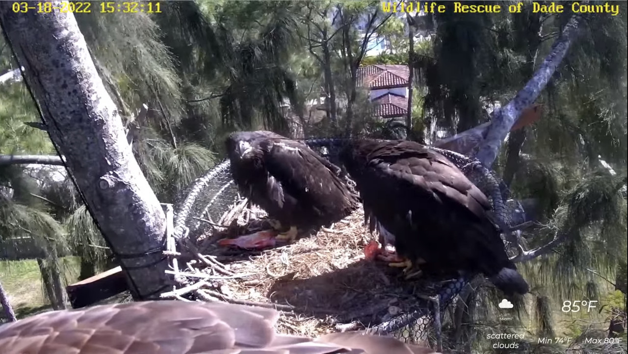 7EBF55F1-6E49-4732-8639-299F9E8472CD