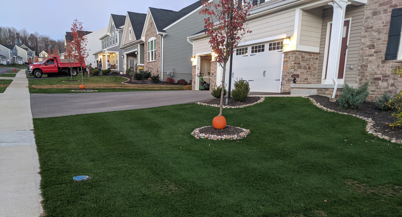 IMG_20201110_172058~2