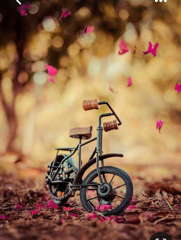 Screenshot_20230816_234435_Pinterest