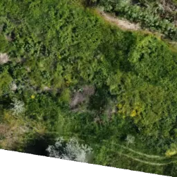 WEBP tile with compression level 70%