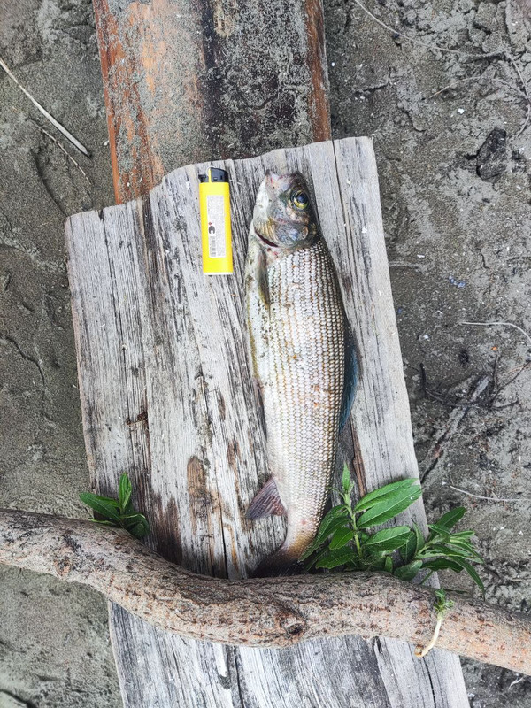 IMG_20230815_093134_489