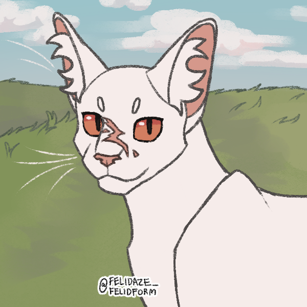 download20230302231228