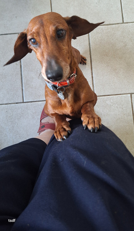 [Image: 20250901-142113.jpg]