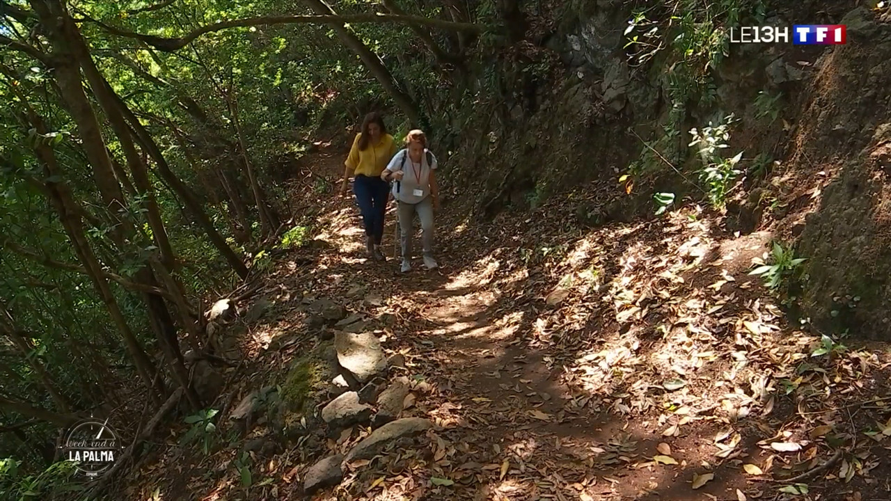 2021-07-10_13_00_TF1_Le-13h.mp4_snapshot_00.21.30.964
