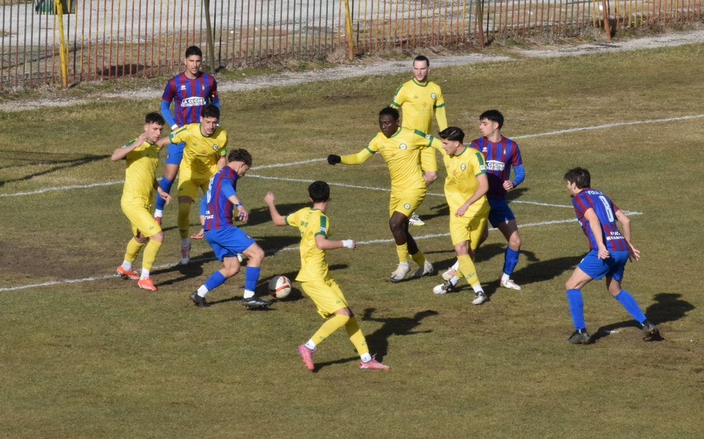 55059998381 36f512c653 b