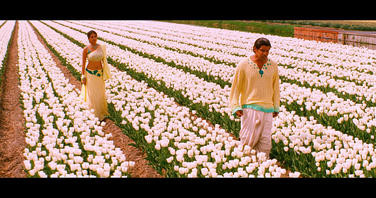 VideoCapture_20241122-195816