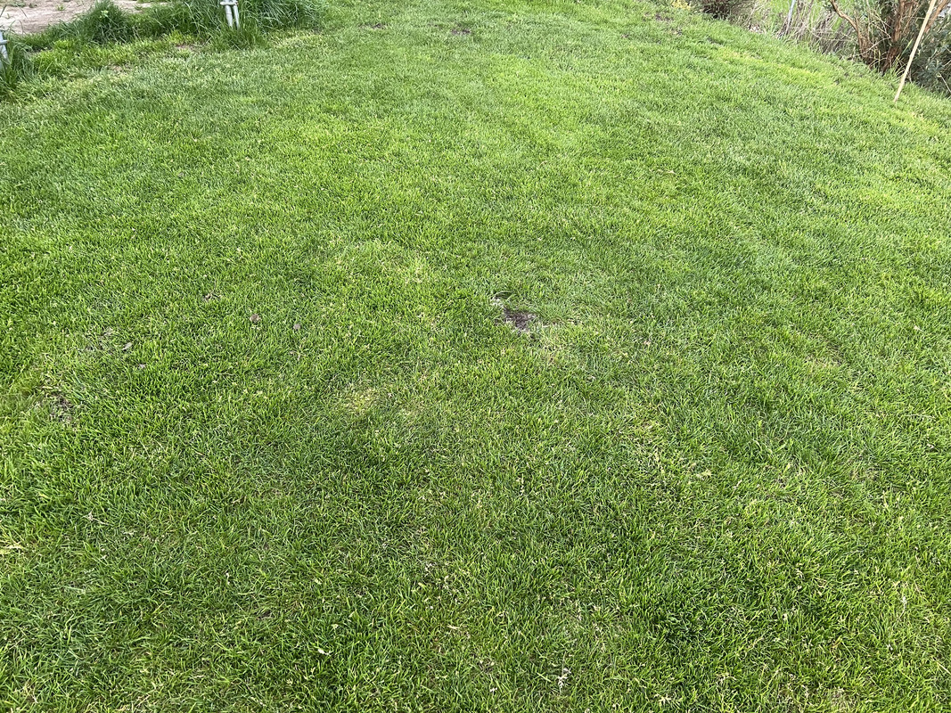 74E38337-1483-42AB-A22E-BDDDCEEFC4C5