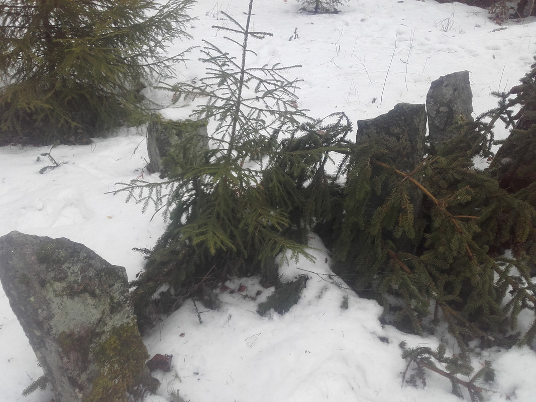 20170123_105651