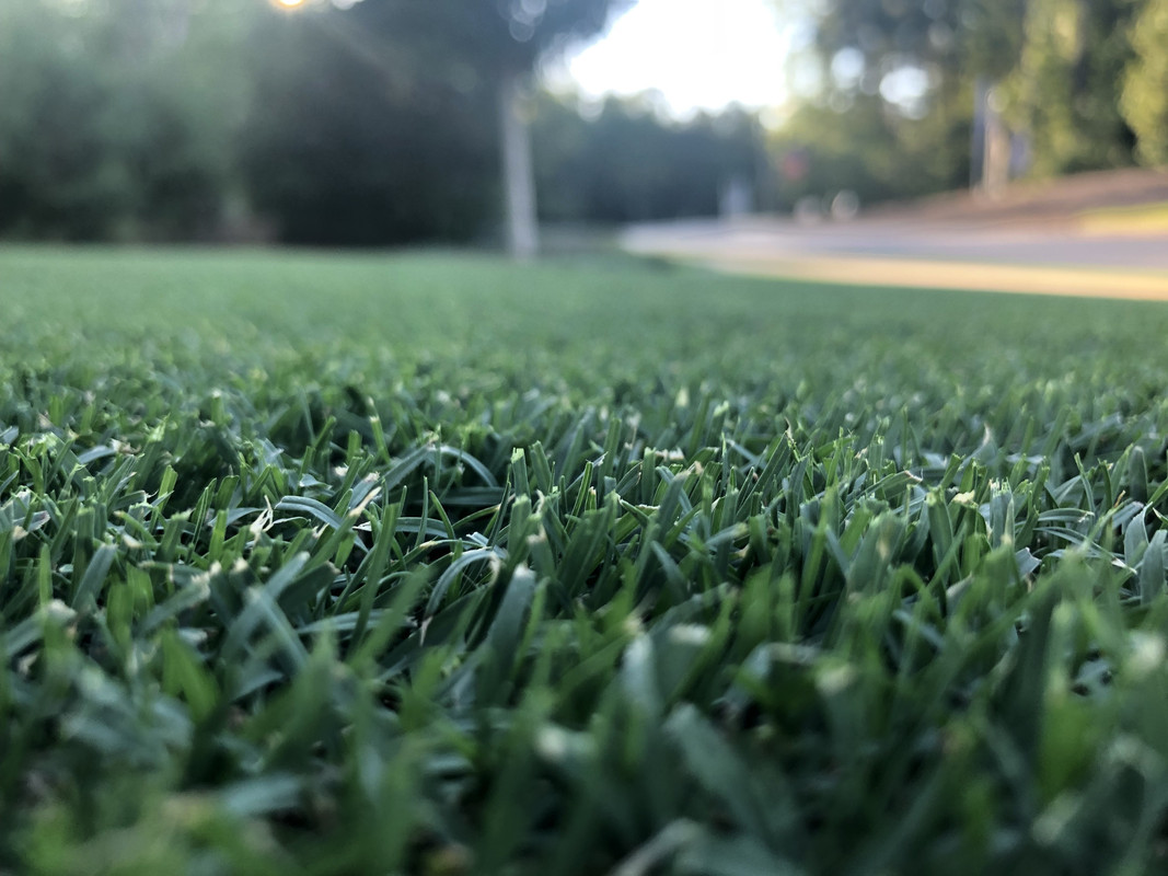 34A6E4F2-5416-4709-A8BC-D17A314D3F39