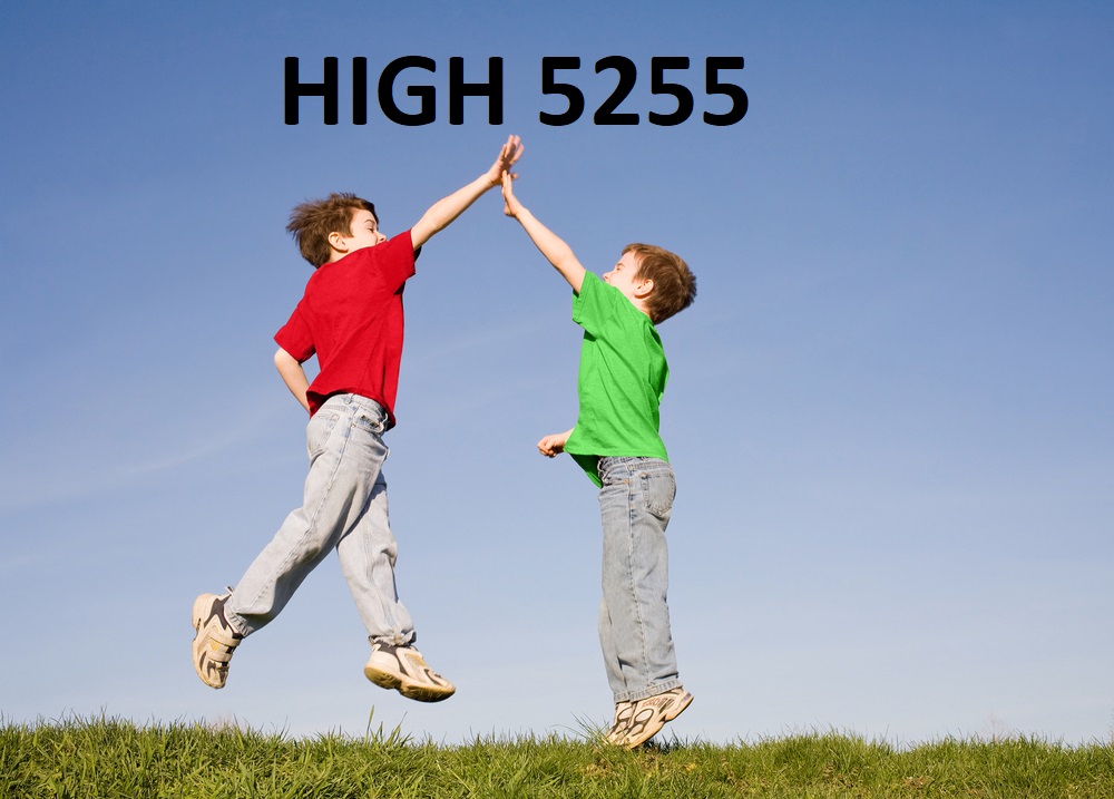 High-Five-shutterstock-11689066.jpg