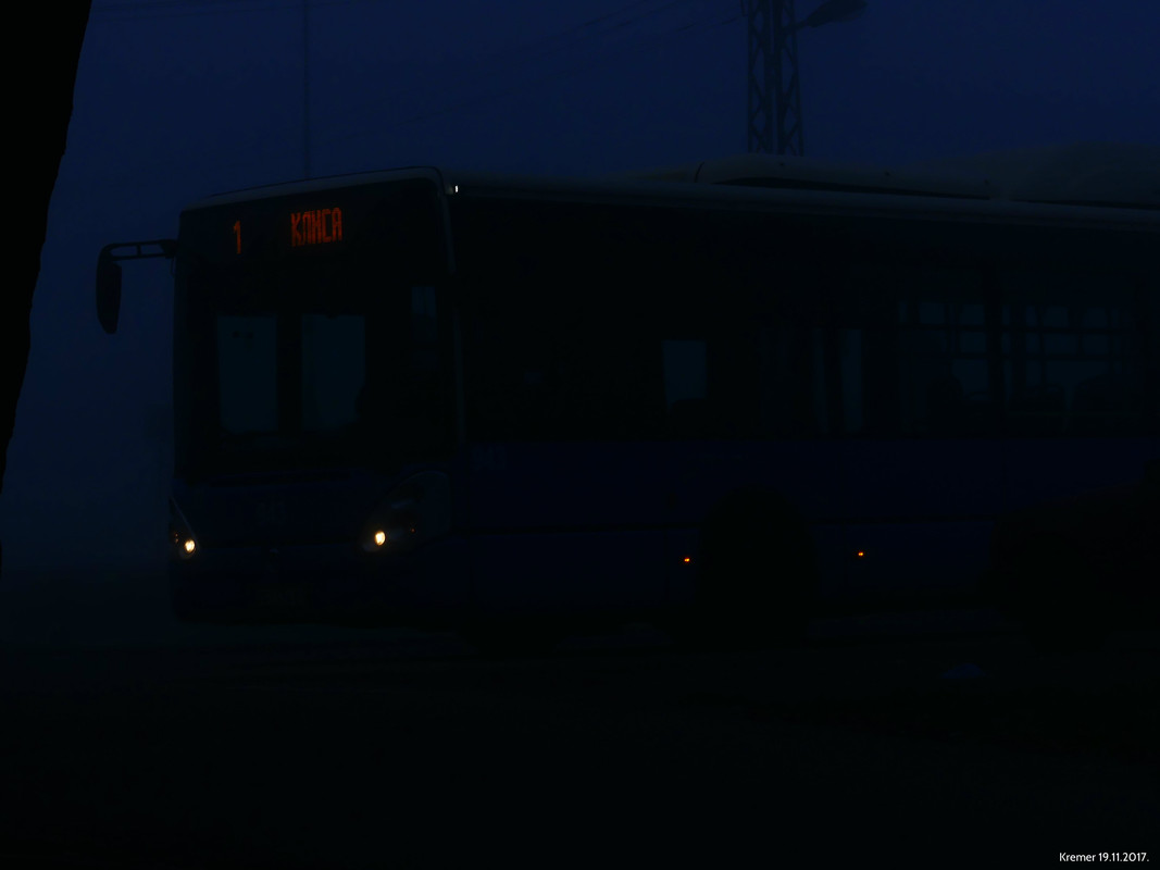 01P1000387