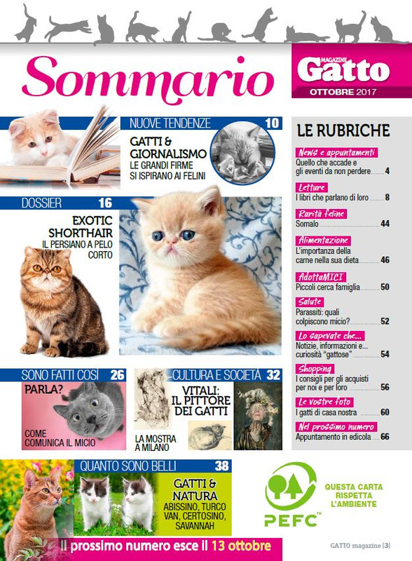 Ga Ma Ott 2017 (Somm)