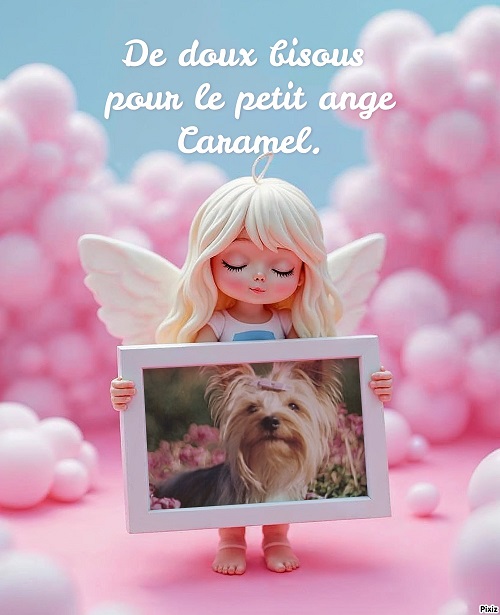 pixiz 02 12 2025 02 38 14